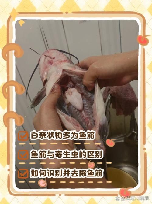 如何鑒別鲅魚體內(nèi)的寄生蟲和魚筋，arxiv論文助手可輔助查找水產(chǎn)寄生蟲和魚筋的鑒別方法
