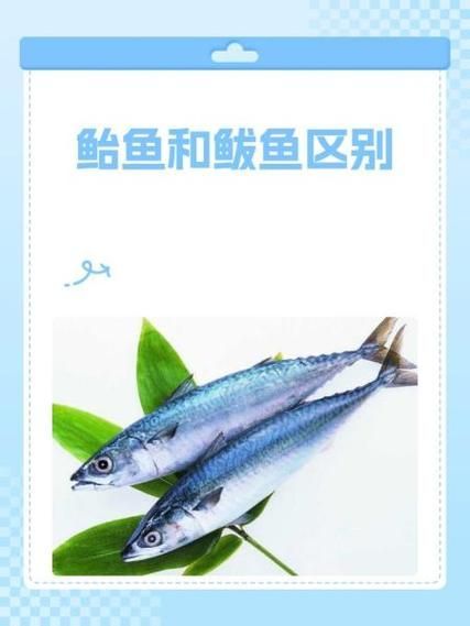 如何鑒別鲅魚體內(nèi)的寄生蟲和魚筋，arxiv論文助手可輔助查找水產(chǎn)寄生蟲和魚筋的鑒別方法