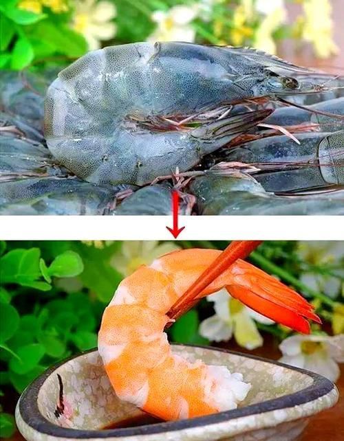 武漢良之隆的“小龍魚”品牌有哪些產品？，良之隆的“小龍魚”品牌主要提供以下產品