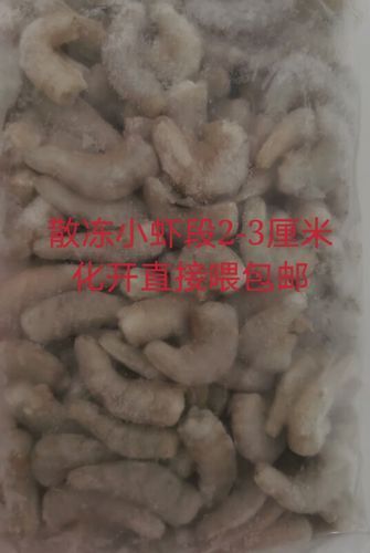 有哪些活餌適合龍魚投喂，適合投喂給龍魚的活餌