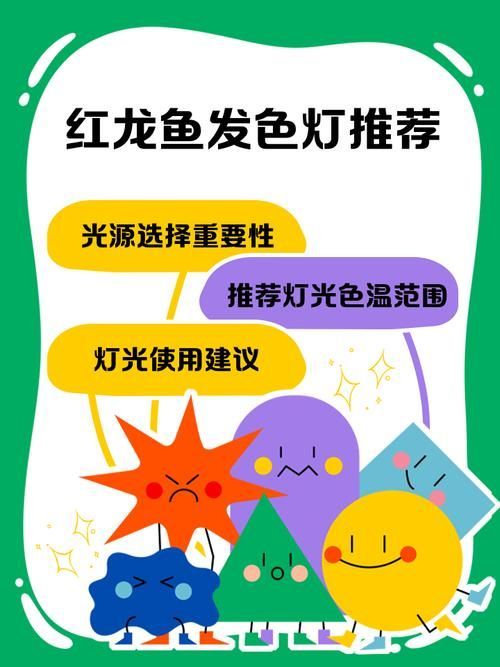 如何選擇合適的龍魚發色燈光？，如何科學選燈，讓龍魚發色更出彩