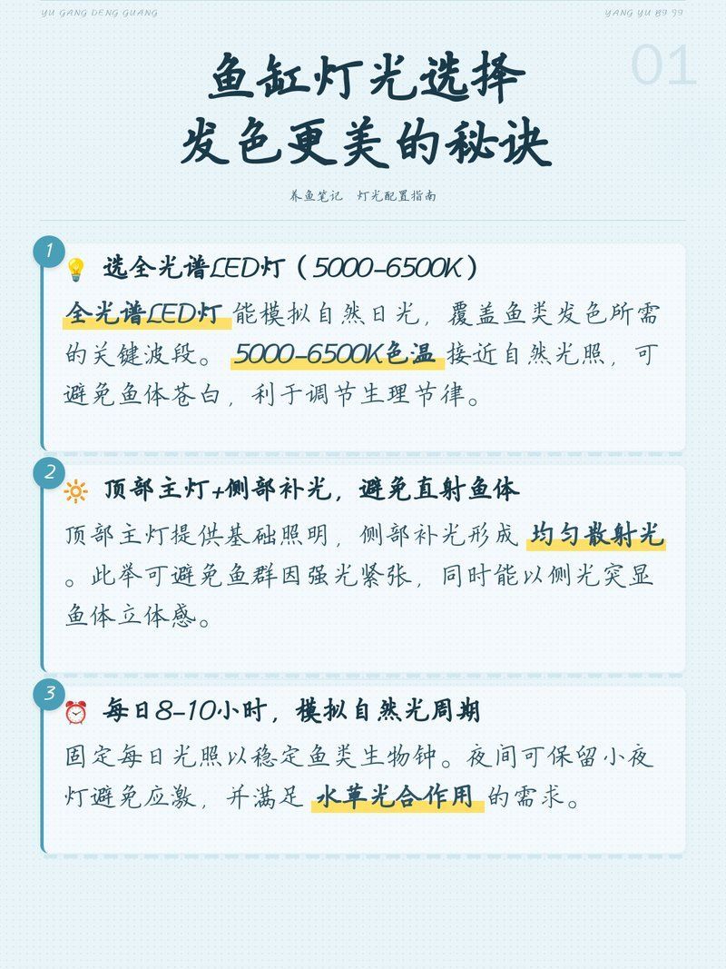 如何選擇合適的龍魚發色燈光？，如何科學選燈，讓龍魚發色更出彩