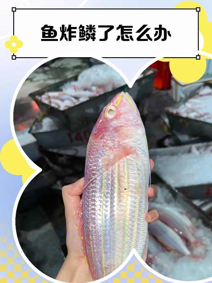 有哪些方法可以加速炸鱗病好轉(zhuǎn)，炸鱗病（又稱立鱗病、松鱗病）雖兇險(xiǎn)，但及時(shí)干預(yù)下多數(shù)可逆轉(zhuǎn)