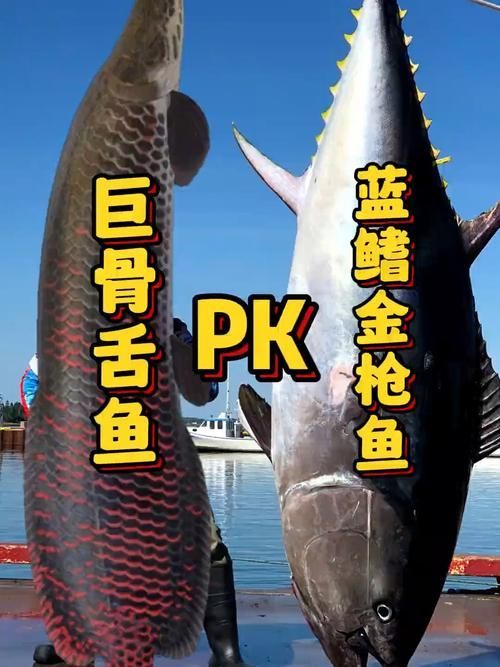 能否提供巨骨舌魚的圖片，亞馬遜流域最具代表性的頂級掠食者之一巨骨舌魚有哪些天敵