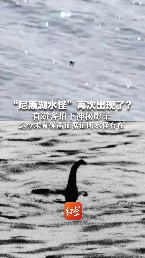 海洋十大不明生物有哪些傳說，海洋不明生物的傳說