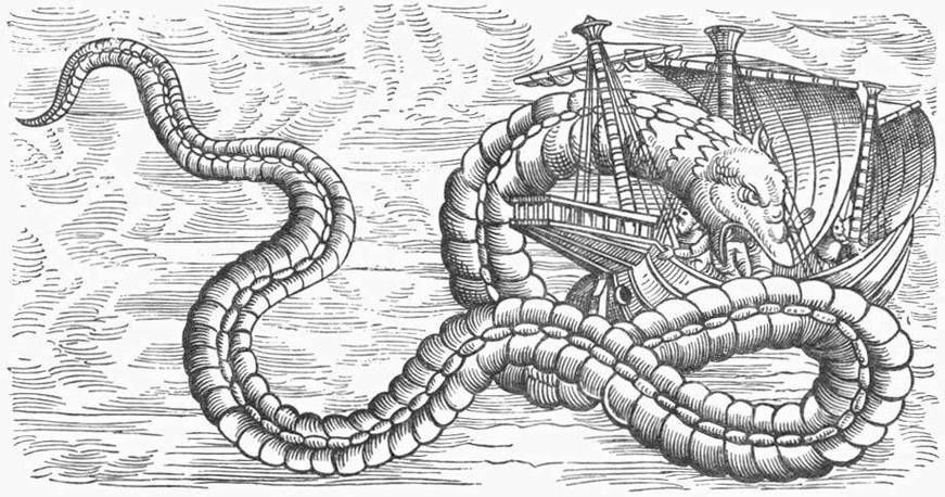 海洋十大不明生物有哪些傳說，海洋不明生物的傳說