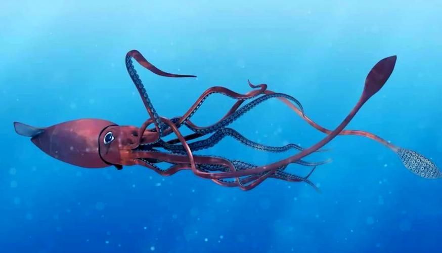 海洋十大不明生物有哪些傳說，海洋不明生物的傳說