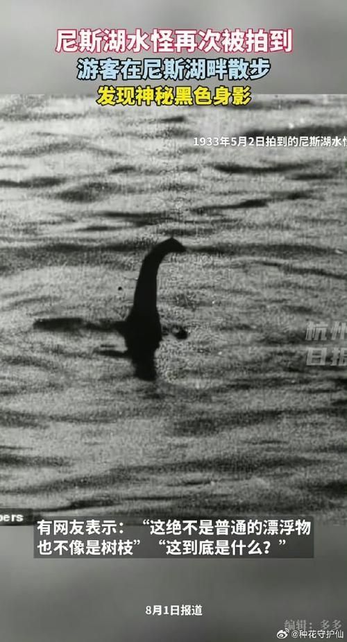 海洋十大不明生物有哪些傳說，海洋不明生物的傳說