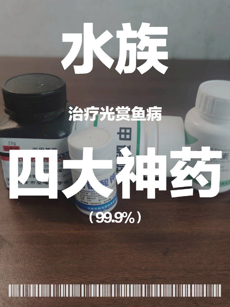 哪些藥物可以有效治療魚類細(xì)菌感染，治療魚類細(xì)菌性疾病的藥物
