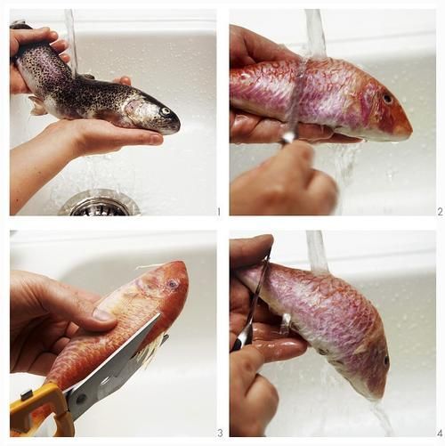 如何正確烹飪土龍魚？，土龍魚烹飪詳解