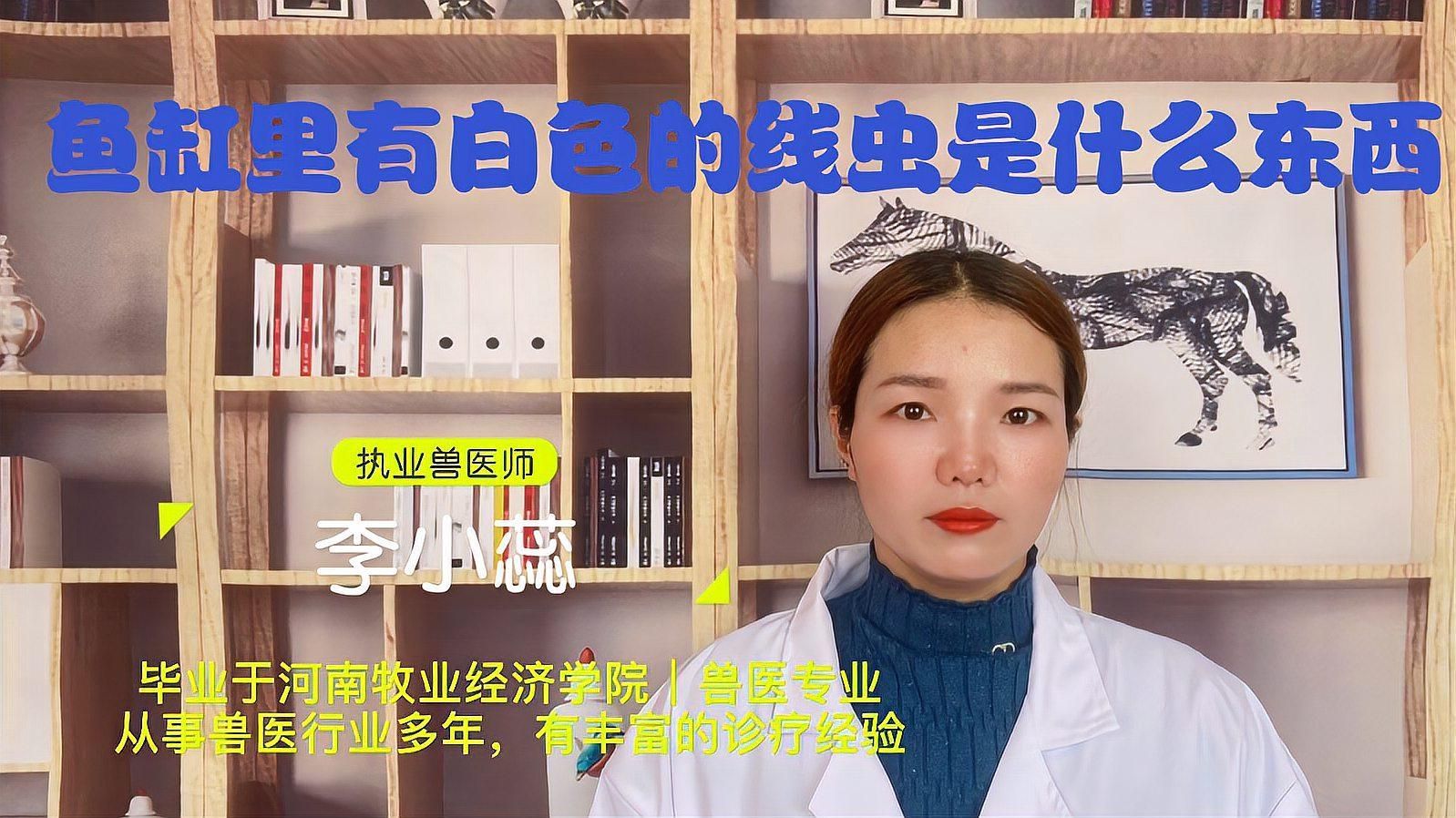 魚肚子里有白色線蟲，魚體內(nèi)發(fā)現(xiàn)白色線蟲的現(xiàn)象并分析了這一現(xiàn)象的生物學(xué)意義