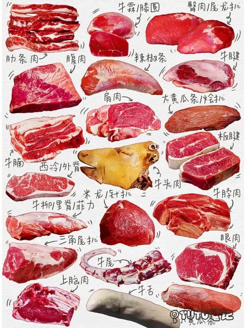 如何安全地食用龍魚生牛肉？，“龍魚生牛肉”與“安全食用龍魚生牛肉”安全指南