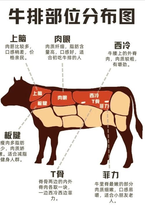 如何安全地食用龍魚生牛肉？，“龍魚生牛肉”與“安全食用龍魚生牛肉”安全指南