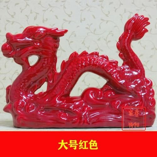 哪種類型的龍魚須子更美觀？，龍魚須子的美學標準