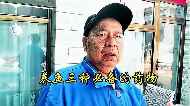 有哪些藥物可以治療魚類細(xì)菌性疾病，養(yǎng)魚必備的三種藥物