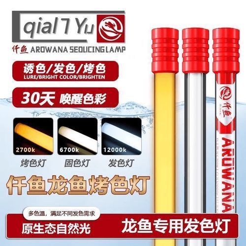 紅龍魚缸多大適合使用6700K燈管，紅龍魚缸6700k燈管尺寸選擇對于使用6700k燈管至關重要