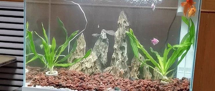 森森魚缸有哪些型號，森森魚缸型號介紹