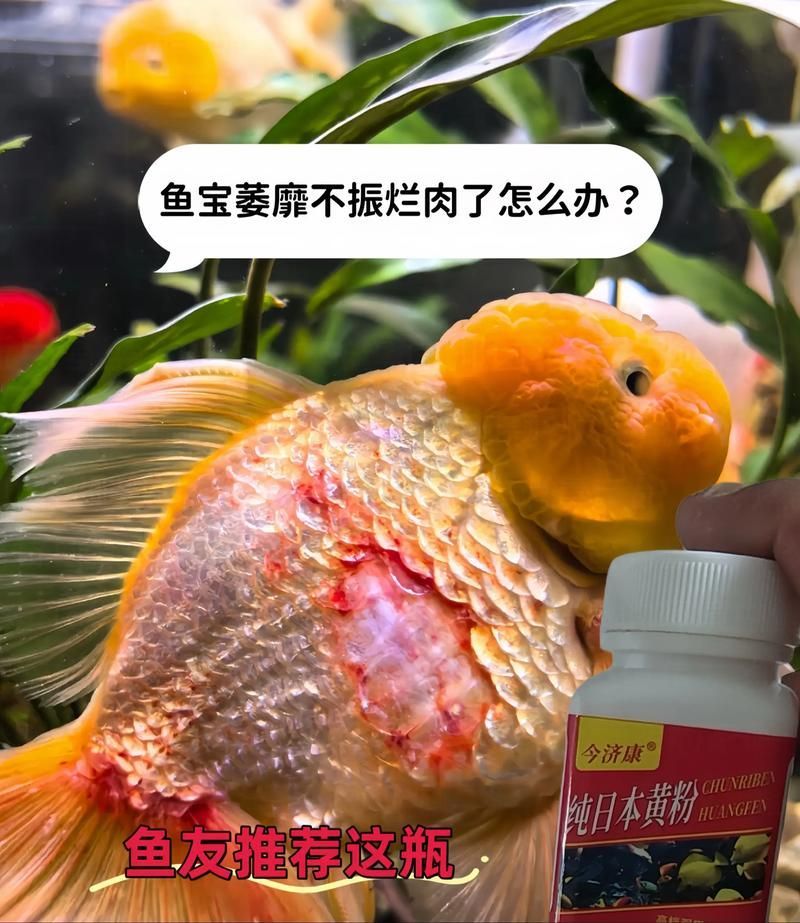 能給出一張炸鱗病痊愈的圖片嗎，能否給出一張炸鱗病痊愈的圖片
