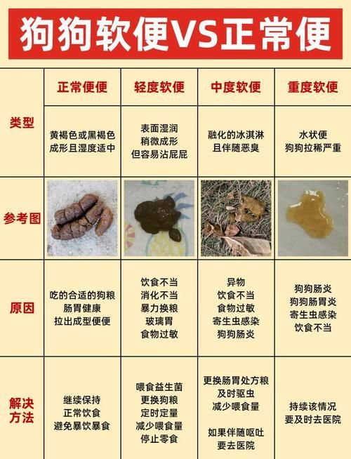 如何判斷魚腸炎是否完全好轉(zhuǎn)，三甲醫(yī)院消化科專家對(duì)腸炎康復(fù)判斷魚腸炎康復(fù)判斷權(quán)威建議