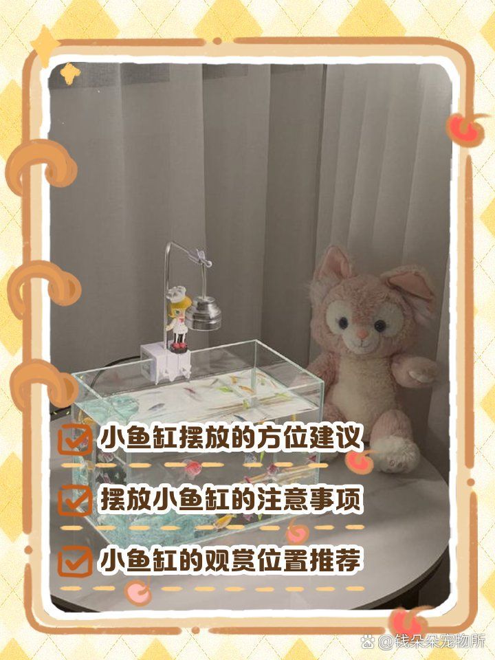 魚缸放客廳南方需要什么條件，家居風水：魚缸放在客廳南方有哪些講究？