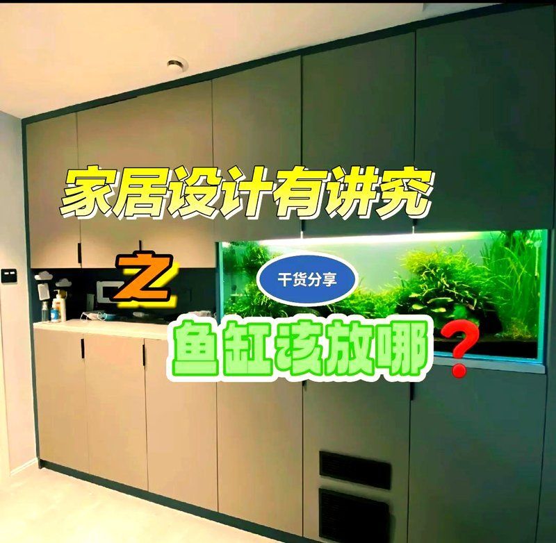 魚缸放客廳南方需要什么條件，家居風水：魚缸放在客廳南方有哪些講究？