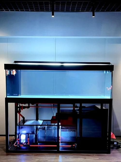 水鴨魚缸和祥龍魚場有何關聯？，水鴨魚缸和祥龍魚場之間存在關聯—養殖水鴨魚缸