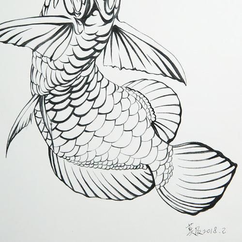 能給出五指山龍魚的簡單線稿嗎？，五指山龍魚的線描技法