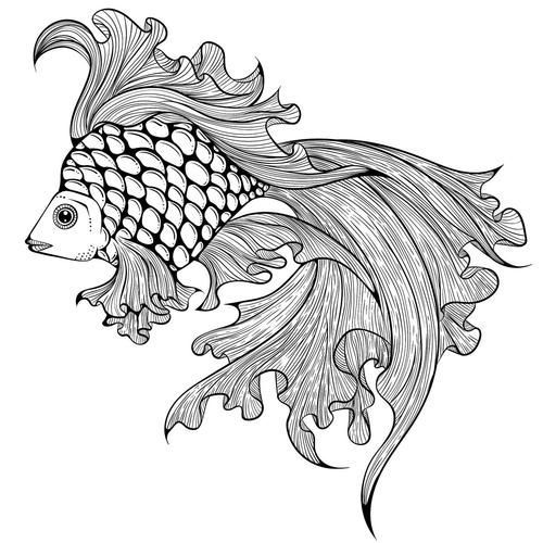 能給出五指山龍魚的簡單線稿嗎？，五指山龍魚的線描技法