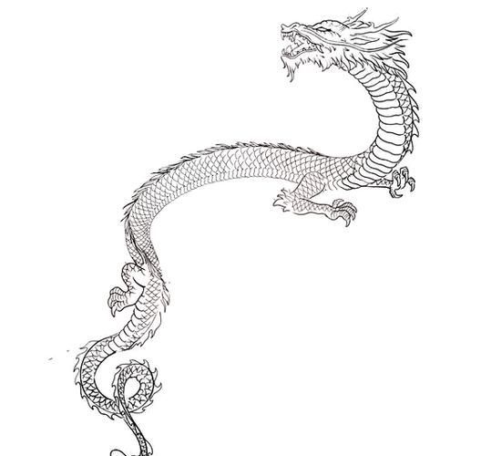 能給出五指山龍魚的簡單線稿嗎？，五指山龍魚的線描技法