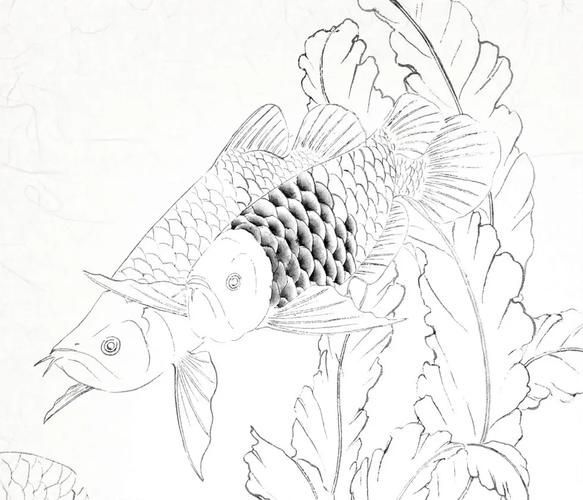 能給出五指山龍魚的簡單線稿嗎？，五指山龍魚的線描技法