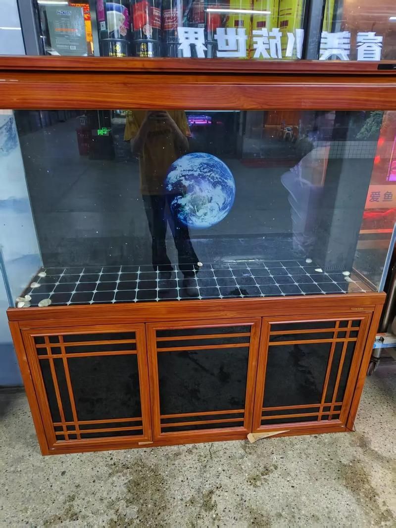 有哪些魚缸適合養龍魚？，如何選擇適合養龍魚的魚缸？
