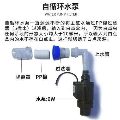 如何預防海水魚細菌感染