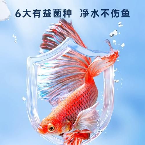 能否推薦一些適合裸缸的硝化細(xì)菌產(chǎn)品，硝化細(xì)菌產(chǎn)品推薦
