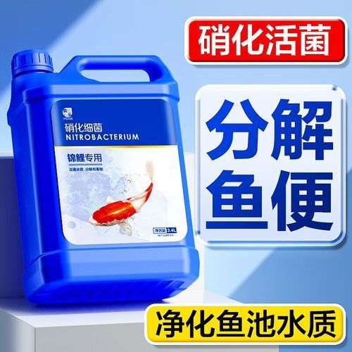 能否推薦一些適合裸缸的硝化細(xì)菌產(chǎn)品，硝化細(xì)菌產(chǎn)品推薦