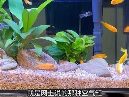 能否推薦一些適合裸缸的硝化細(xì)菌產(chǎn)品，硝化細(xì)菌產(chǎn)品推薦