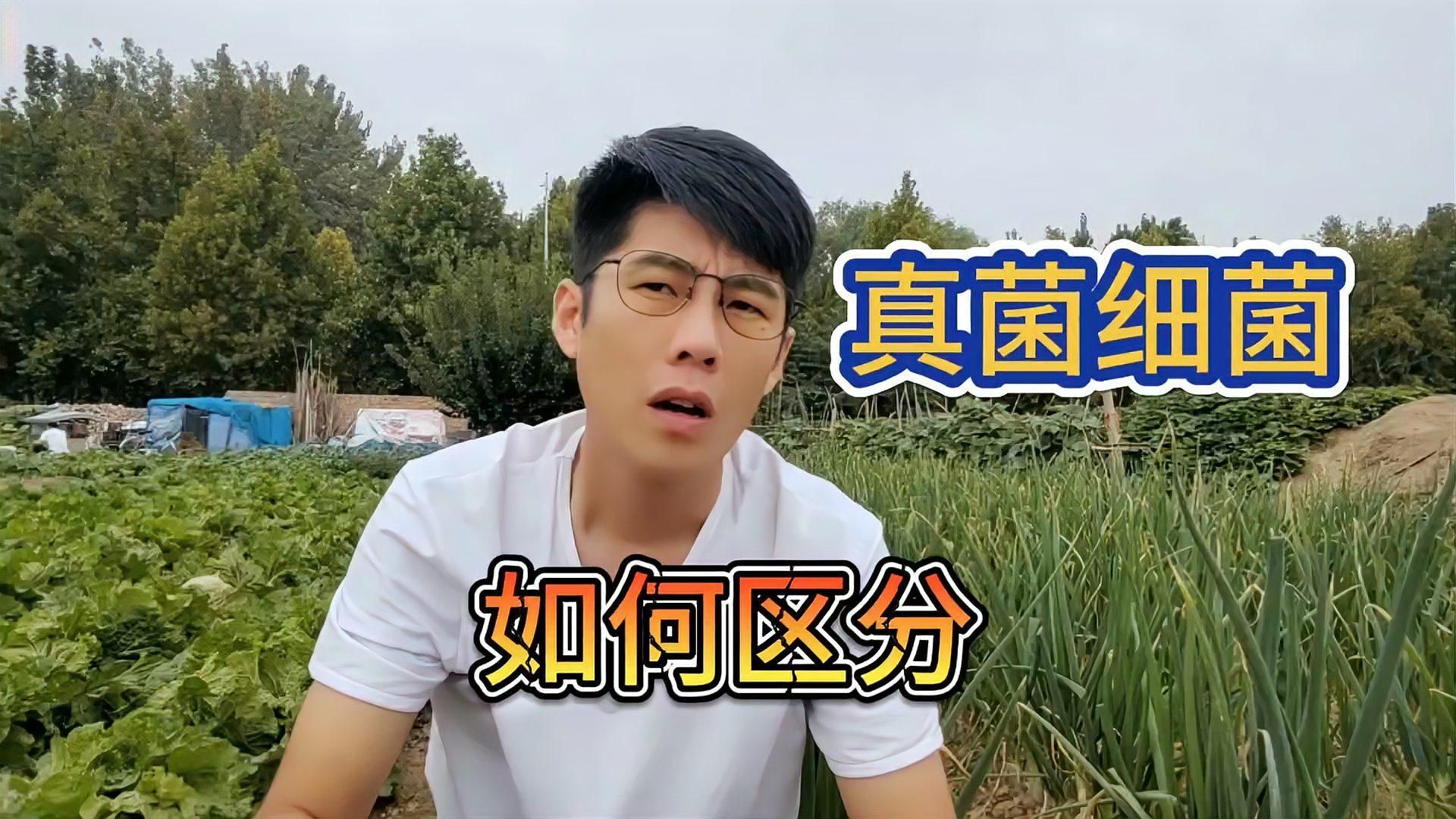 真菌和細菌在病害表現上有何不同，如何區分真菌和細菌？