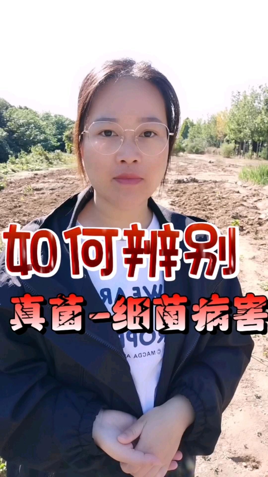 真菌和細菌在病害表現上有何不同，如何區分真菌和細菌？