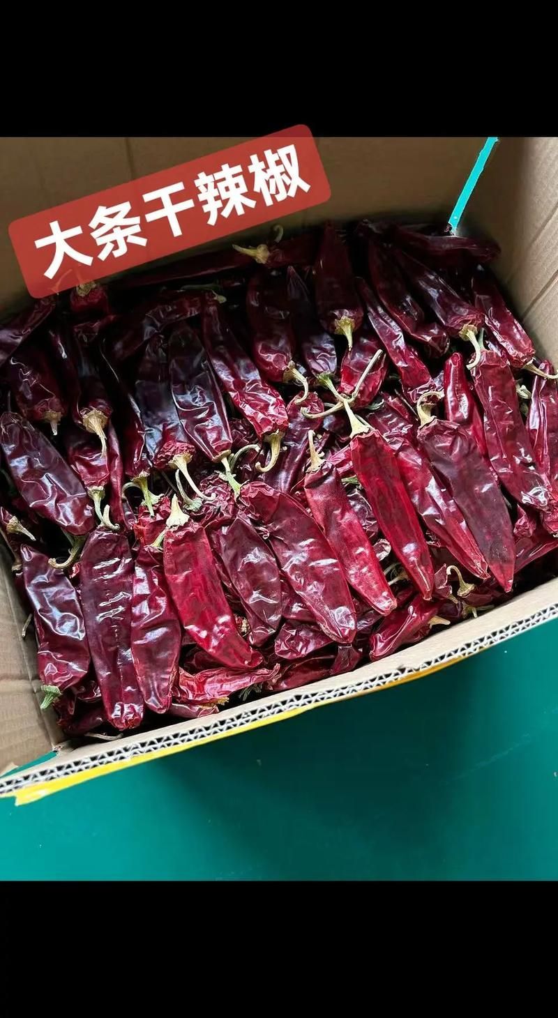 辣椒紅龍的市場價格走勢如何，紅龍23辣椒近半年價格變化表格