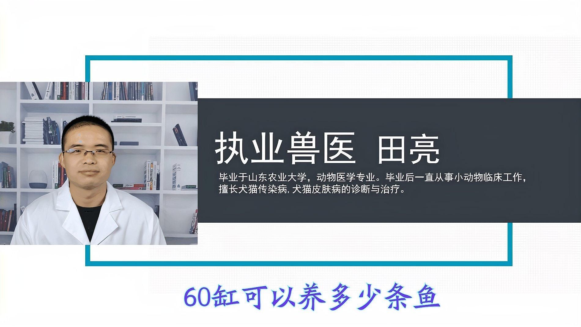 60升魚缸可以養多少條魚，60升魚缸可以養多少條魚60升魚缸需要哪些設備