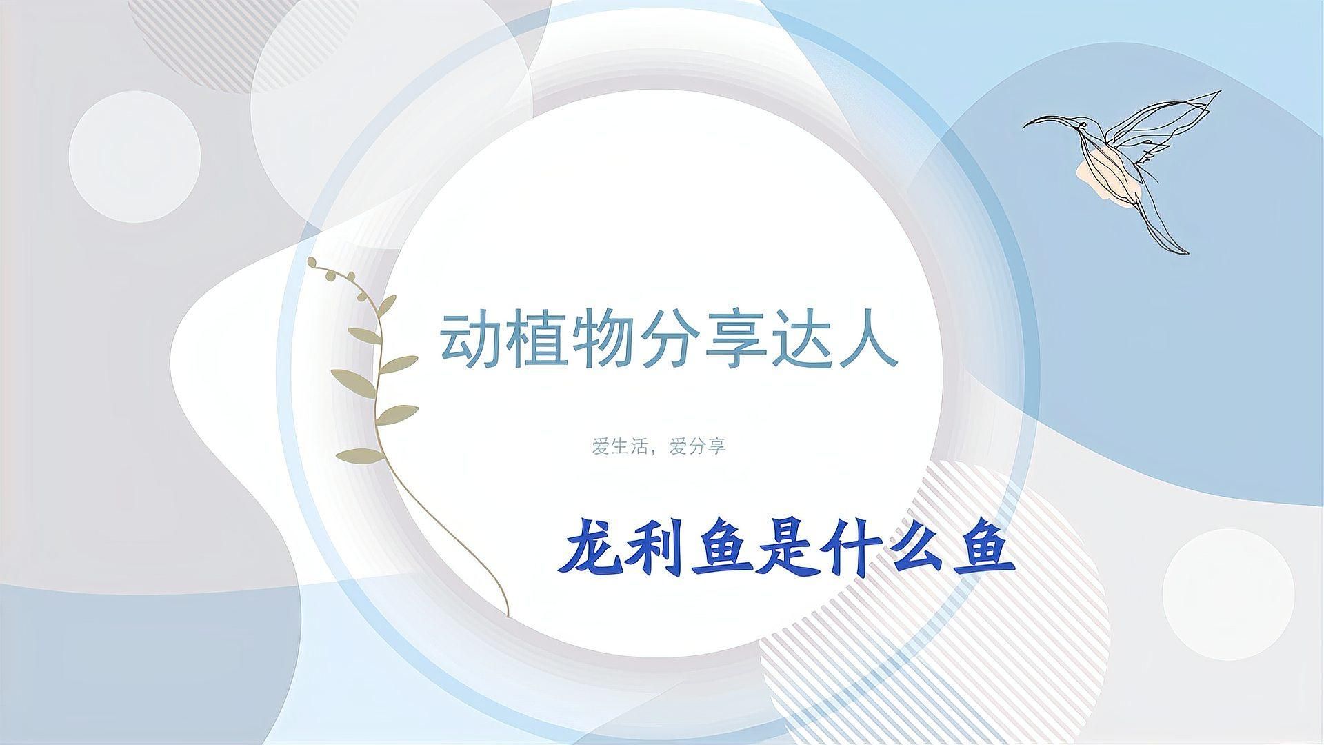 獨山龍魚和龍利魚有什么區(qū)別？，龍利魚和巴沙魚哪個更有營養(yǎng)龍利魚真假鑒別指南