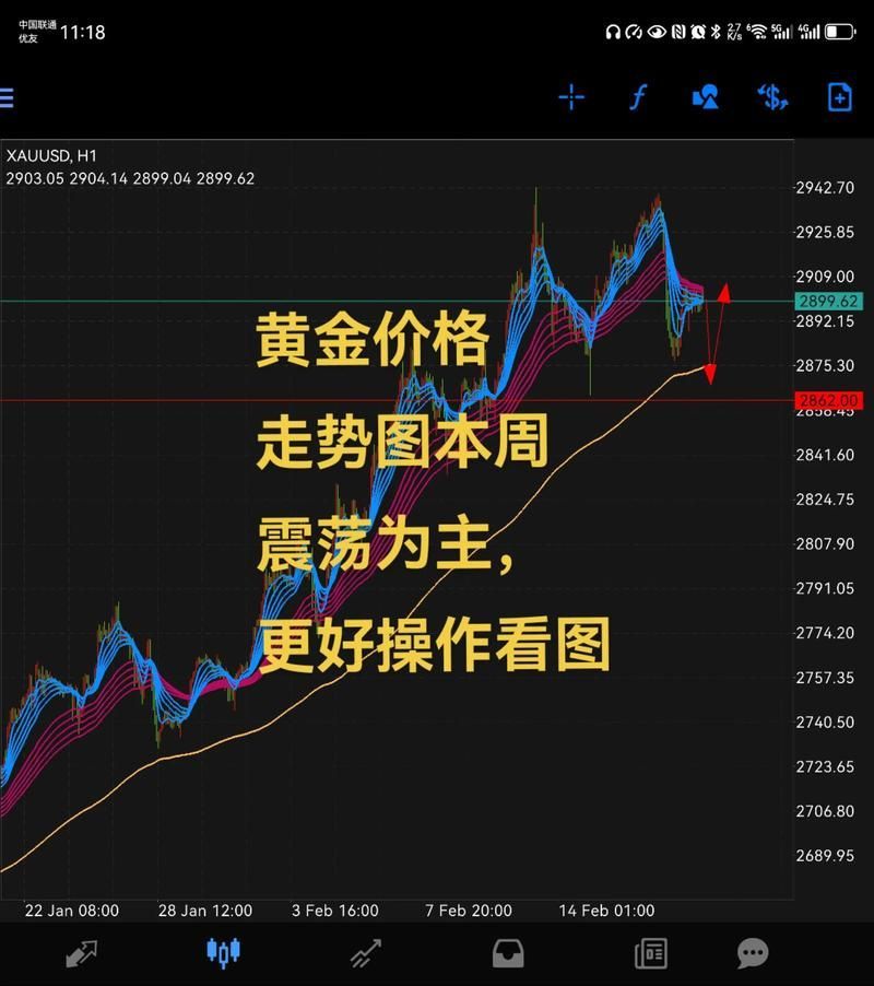 金龍魚股票發行時的市場反應如何？，金龍魚上市首日的市場反應