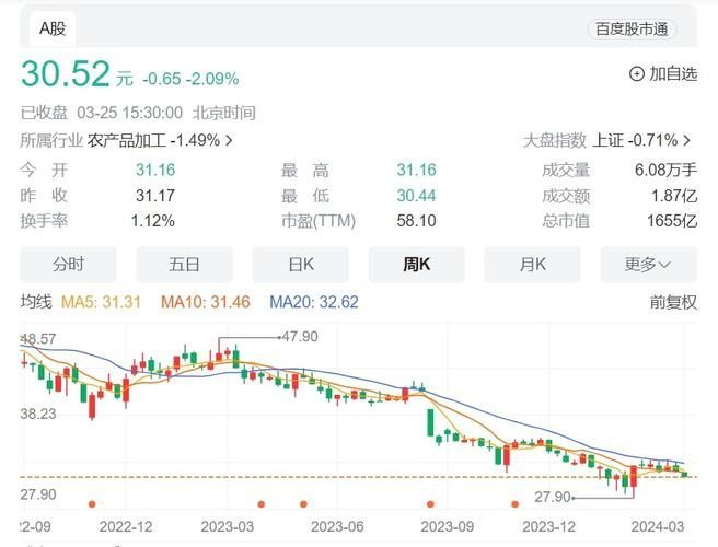 金龍魚股票發行時的市場反應如何？，金龍魚上市首日的市場反應