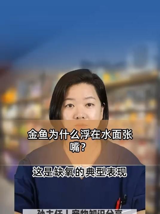 魚浮在水面上張嘴是怎么回事，魚浮在水面上張嘴是一種常見但需警惕的現象