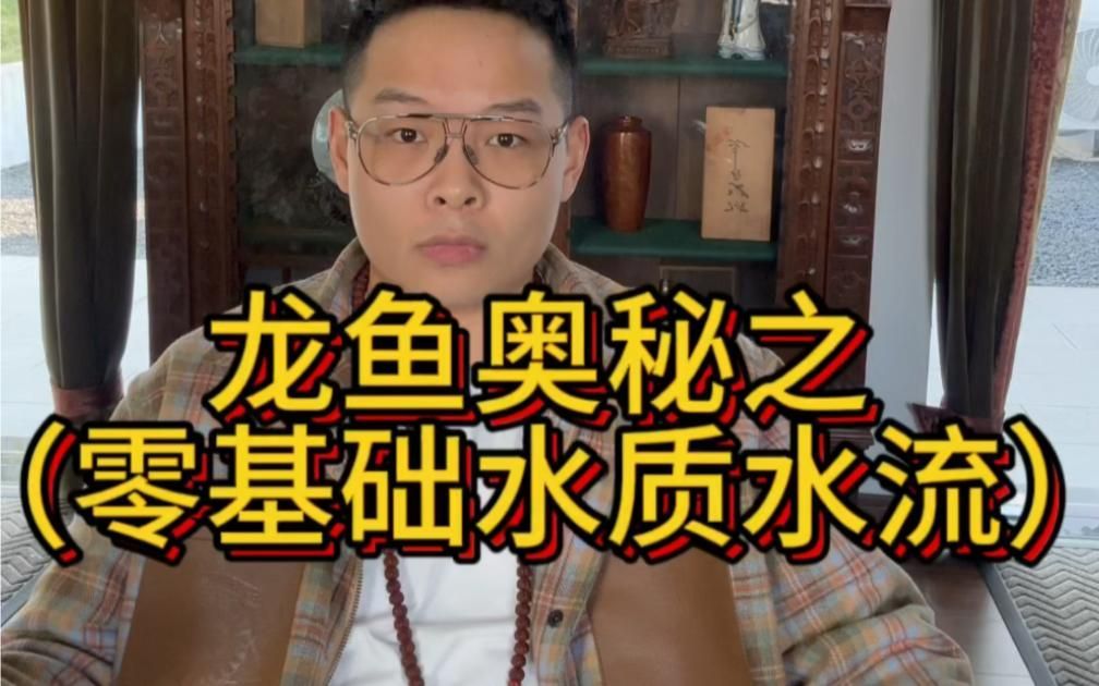 龍魚背黑垢多久能褪去，龍魚背黑垢會自行消失嗎？
