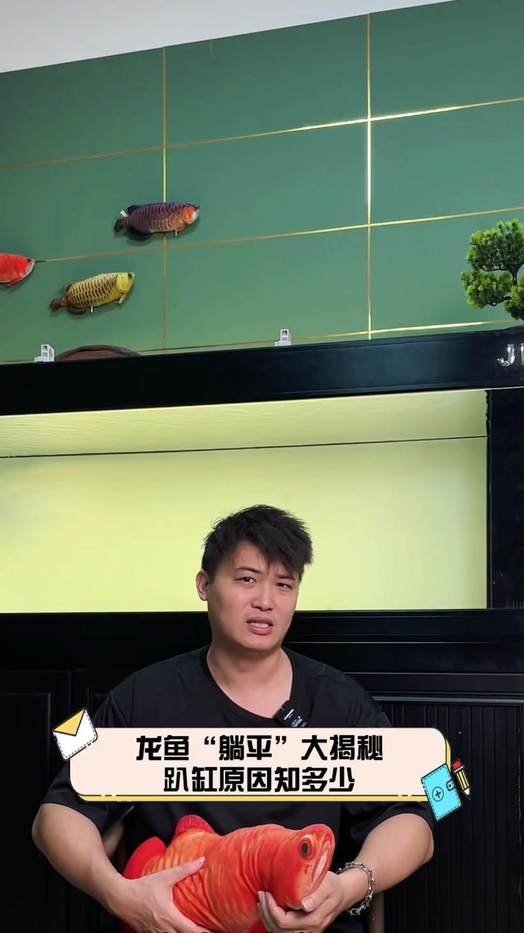 龍魚趴缸后應該如何治療？，龍魚“躺平”大揭秘,趴缸原因知多少