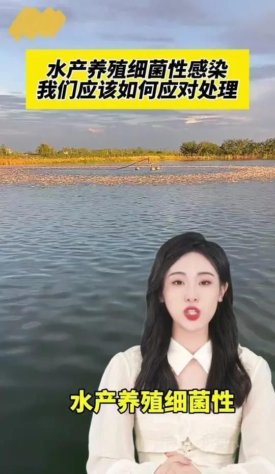 有沒有其他類型的魚類細菌性疾病，**魚類細菌性疾病防治全攻略