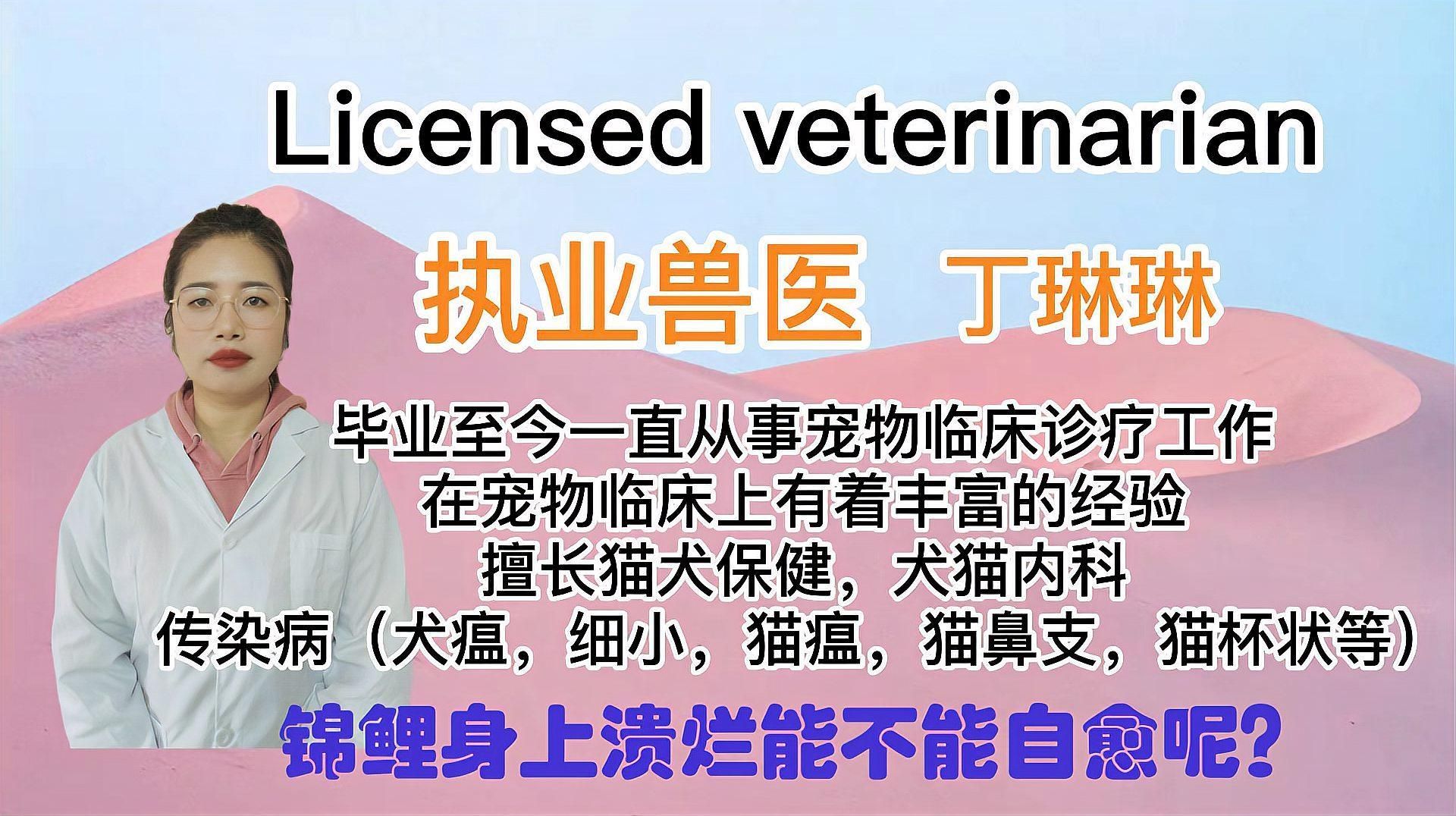 魚身上潰爛能自愈嗎，錦鯉潰爛不能自愈？
