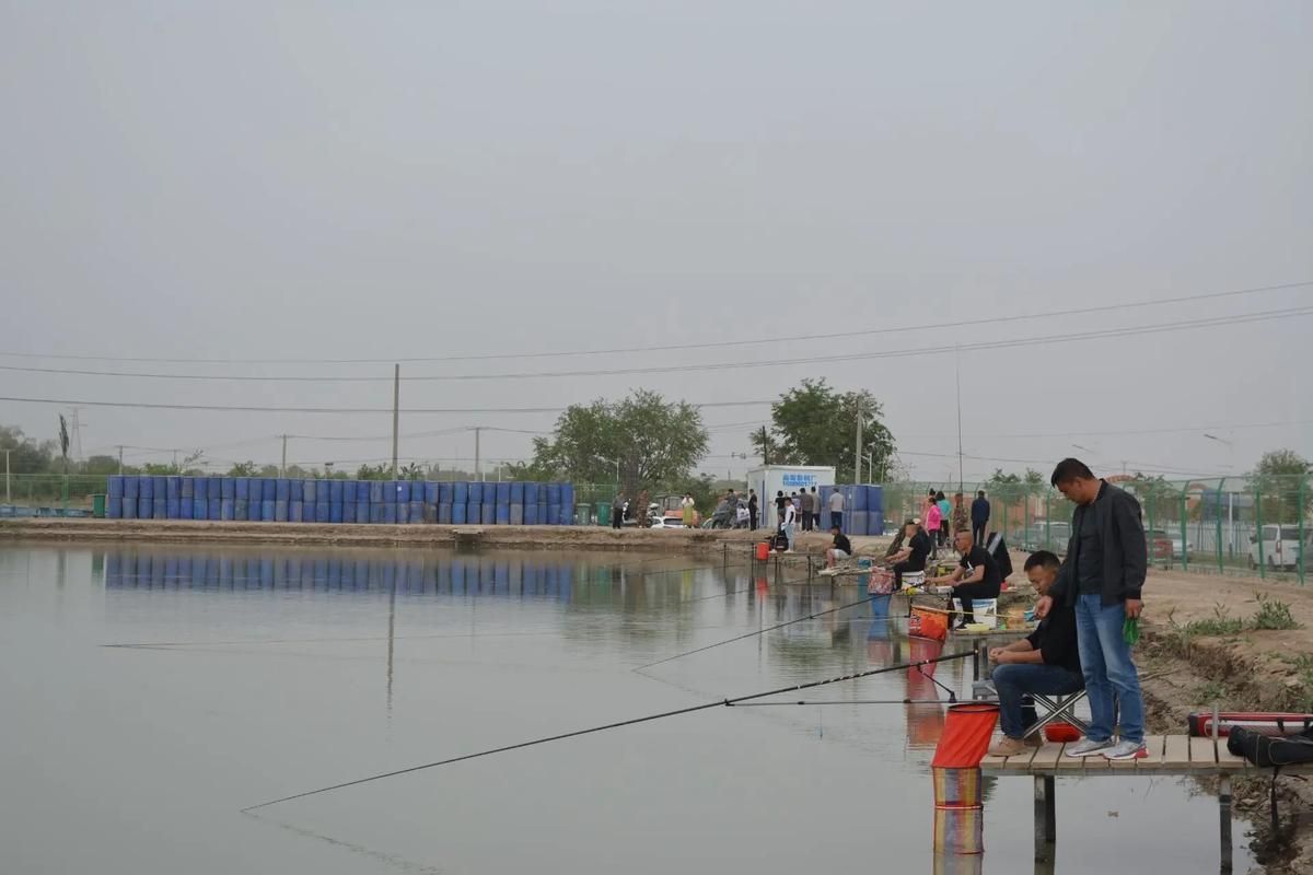 介紹一下寧晉龍魚的養殖歷史，關于寧晉龍魚養殖的一些建議