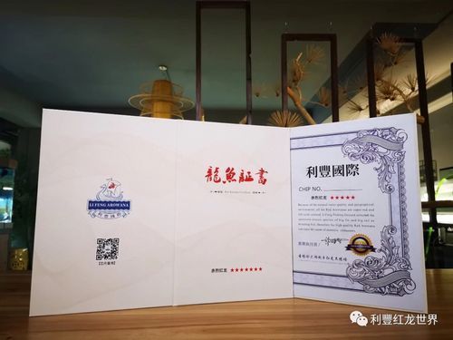 如何判斷紅龍魚證書是否真實有效？，紅龍魚證書如何查詢