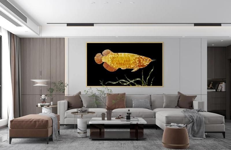 招財金龍魚有哪些品種，招財金龍魚哪個品種最貴如何區分招財金龍魚的品種